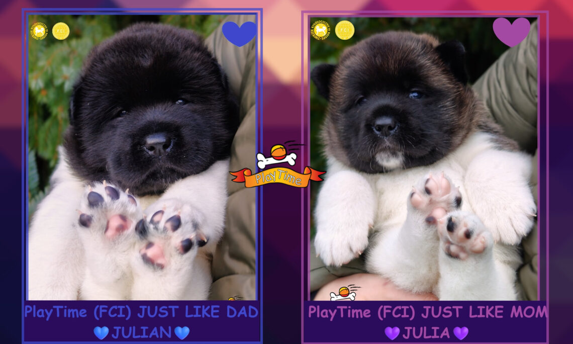 MOTTO, MISJA I CELE NASZEJ HODOWLI