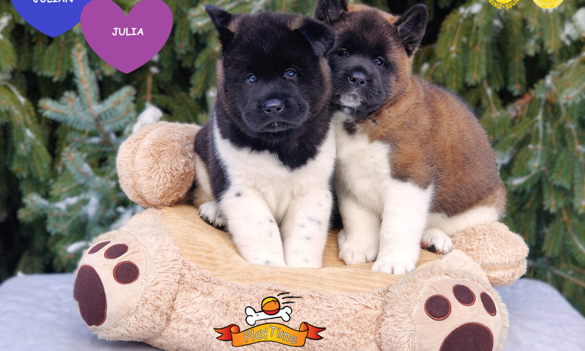 MOTTO, MISJA I CELE NASZEJ HODOWLI