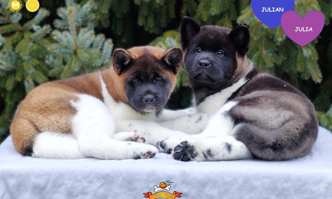 MOTTO, MISJA I CELE NASZEJ HODOWLI