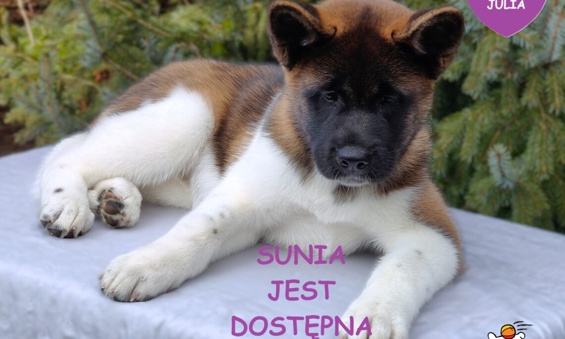 MOTTO, MISJA I CELE NASZEJ HODOWLI