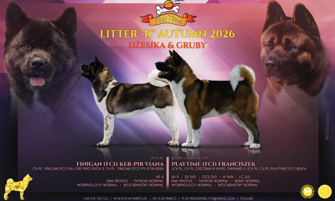 Co nas wyróżnia? Musisz to wiedzieć!